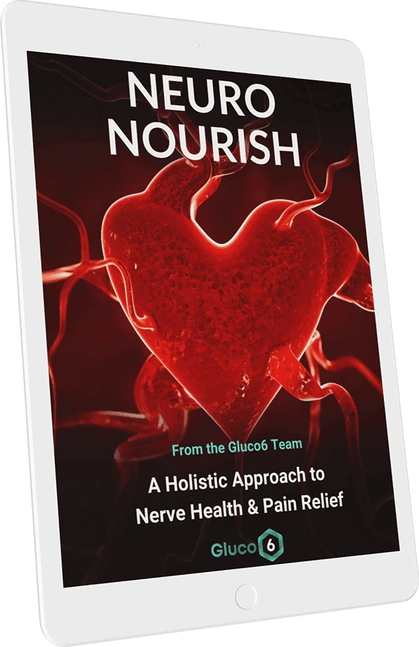 Neuro Nourish bonus guide cover shipped with the Gluco6 artwork